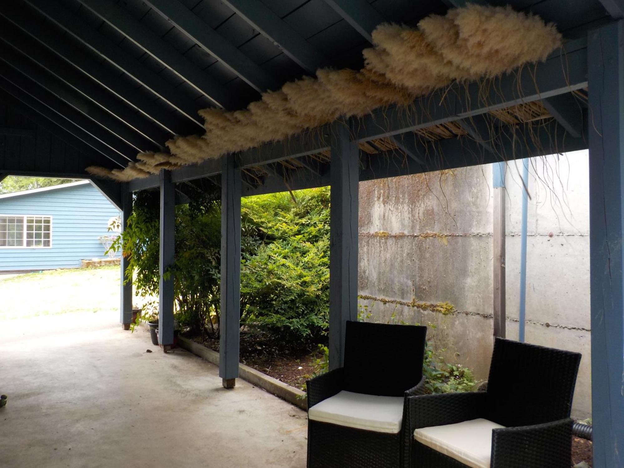 Oceanfront Studio/Loft: Alpacas, Oysters & Kayaks Shelton Buitenkant foto